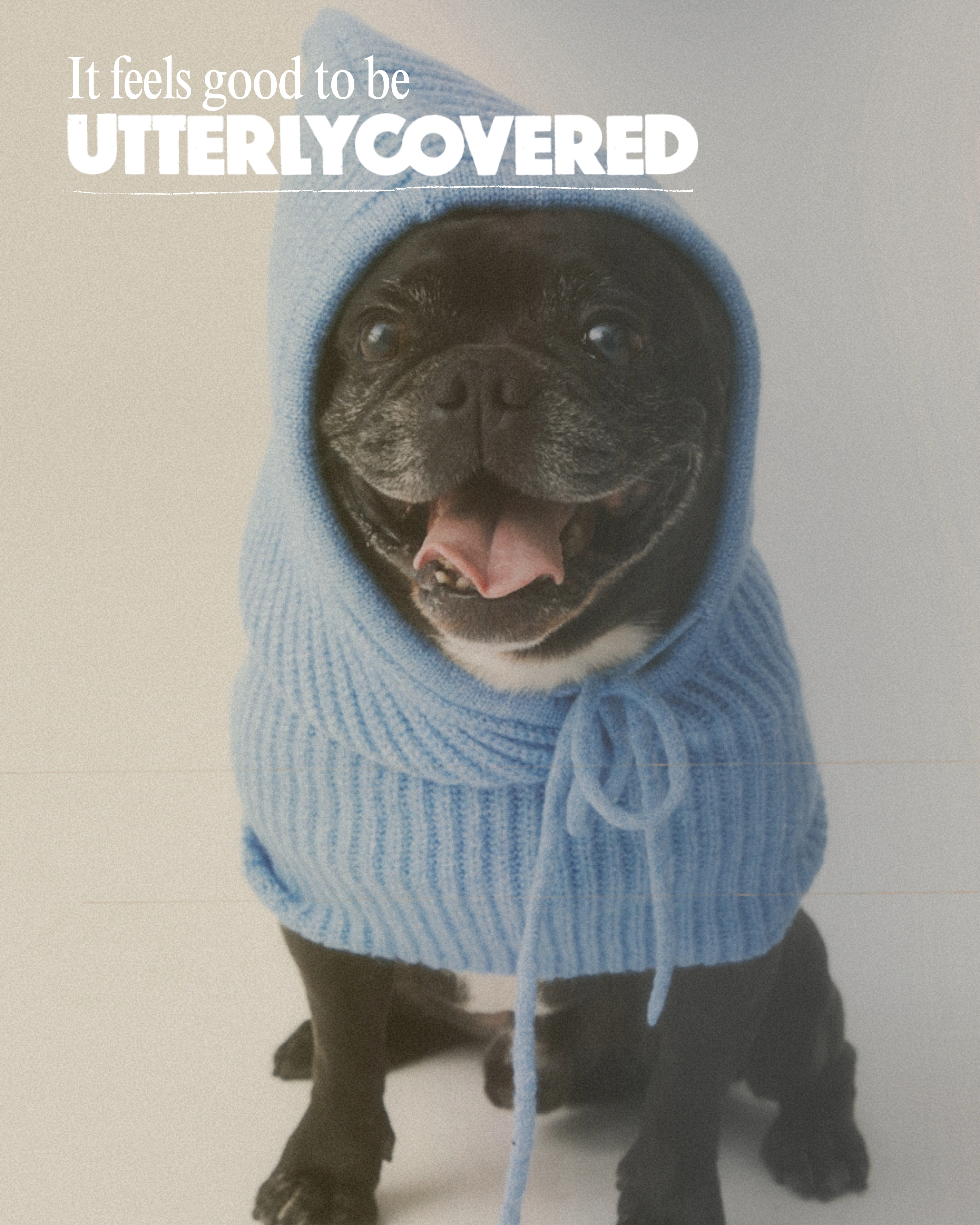 Happy dog in blue sweater - It feels good to be UtterlyCovered