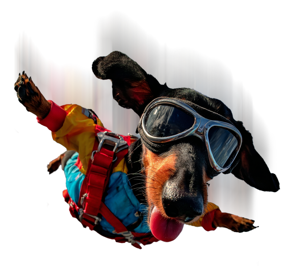 Adventure-ready dachshund with goggles and harness ready for an exciting journey