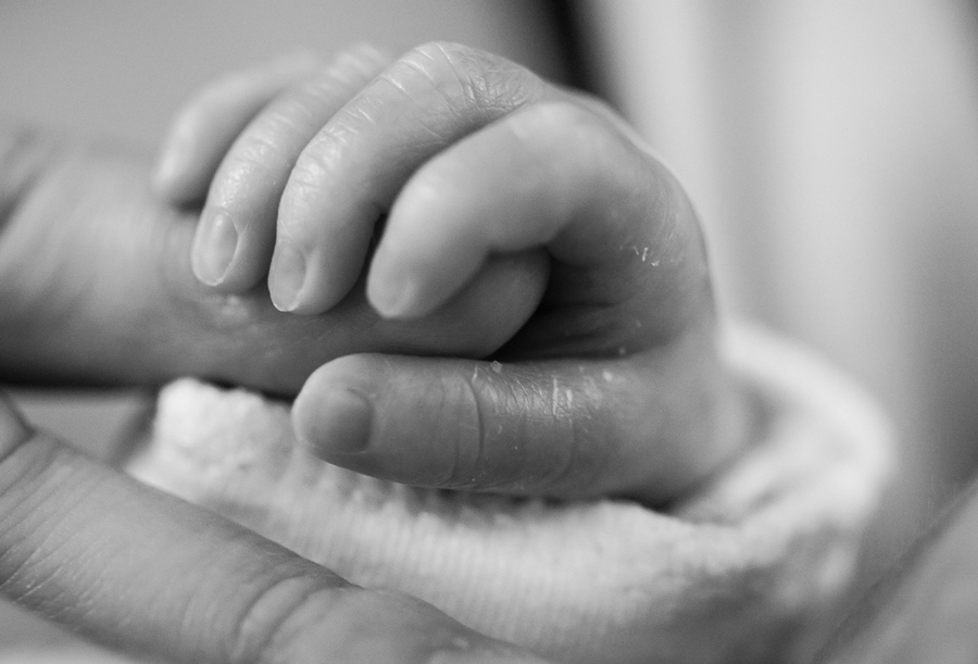 Tender moment of adult hands protecting baby hands representing life insurance family protection